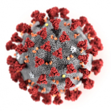 Новая коронавирусная инфекция COVID-2019: актуальные вопросы для преподавателей медицинских вузов